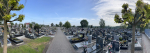 Friedhof 05.2024