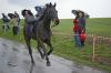 Osterreiten 2010