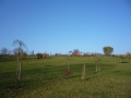 Arboretum bei der Kreuzkirche