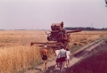 Erntezeit 1970