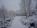 Winter 01.02.2009